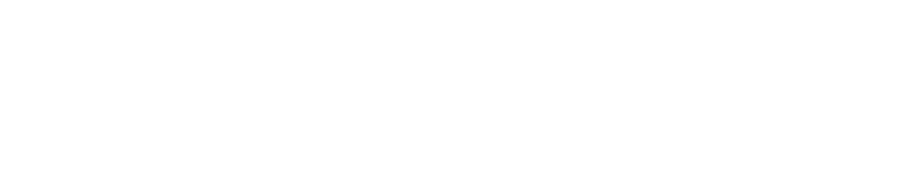 Leo And Luca logo