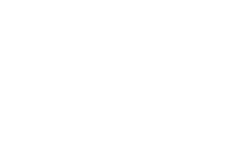 Sallyeander logo