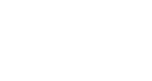 Vain Foods logo